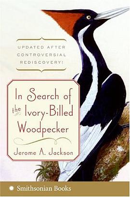In Search of the Ivory-Billed Woodpecker