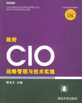 政府CIO战略管理与技术实施 pdf epub mobi 电子书 下载
