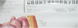 女性泌尿生殖系统解剖学挂图 pdf epub mobi 电子书 下载