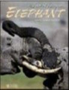 The Art of Being an Elephant pdf epub mobi 电子书 下载