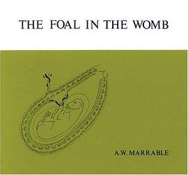 The Foal in the Womb