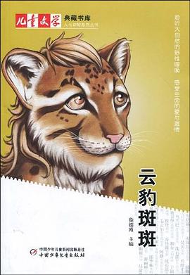 雲豹斑斑 pdf epub mobi 電子書 下載