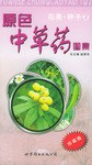 原色中草药图集.花果·种子2