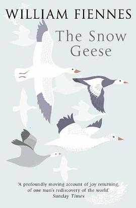 The Snow Geese pdf epub mobi 电子书 下载