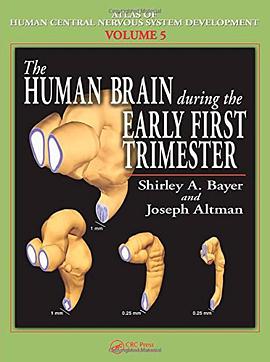 The Human Brain During the Early First Trimester pdf epub mobi 电子书 下载