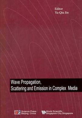 Wave Propagation pdf epub mobi 電子書 下載