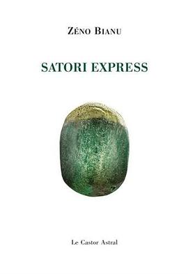 Satori Express pdf epub mobi 电子书 下载