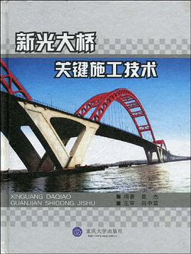 新光大桥关键施工技术