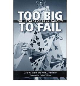 Too Big to Fail pdf epub mobi 电子书 下载