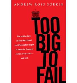 Too Big to Fail pdf epub mobi 电子书 下载