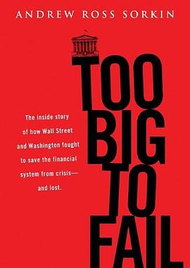 Too Big to Fail pdf epub mobi 电子书 下载