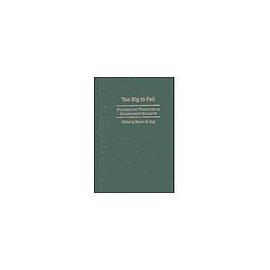 Too Big to Fail pdf epub mobi 电子书 下载