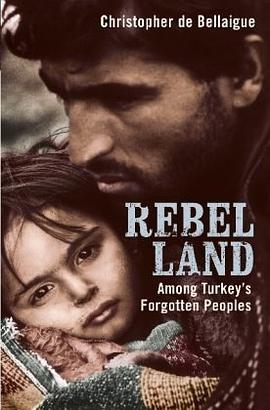 Rebel Land pdf epub mobi 下载
