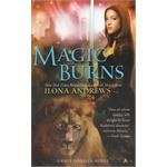 Magic Burns pdf epub mobi 电子书 下载