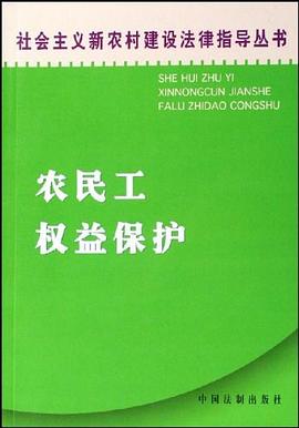 农民工权益保护 pdf epub mobi 电子书 下载