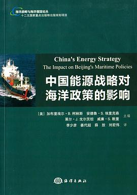 中国能源战略对海洋政策的影响 pdf epub mobi 电子书 下载