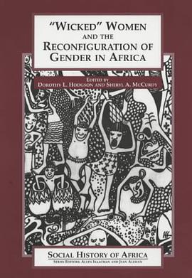 'Wicked' Women and the Reconfiguration of Gender in Africa pdf epub mobi 电子书 下载