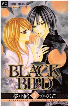 BLACK BIRD 5 pdf epub mobi 电子书 下载