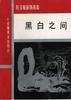 黑白之间赵玉敏装饰画集 pdf epub mobi 电子书 下载