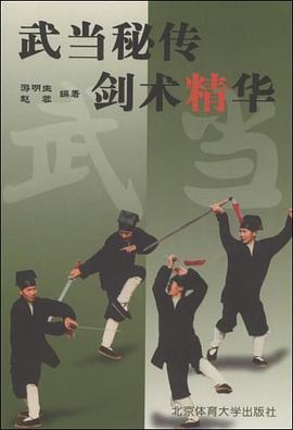 武当秘传剑术精华 pdf epub mobi 电子书 下载