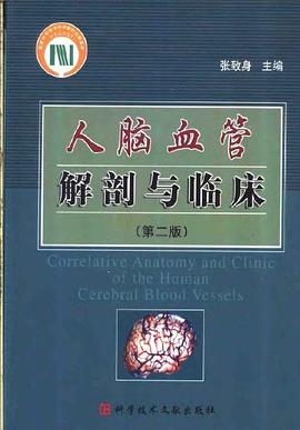 人脑血管解剖与临床