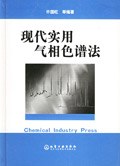 现代实用气相色谱法 pdf epub mobi 下载