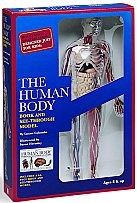 THE HUMAN BODY BOOK AND SEE-THROUGH MODEL pdf epub mobi 电子书 下载