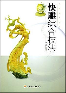 快雕综合技法 pdf epub mobi 下载