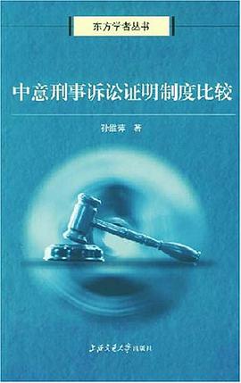 中意刑事诉讼证明制度比较 pdf epub mobi 电子书 下载