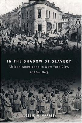 In the Shadow of Slavery pdf epub mobi 电子书 下载