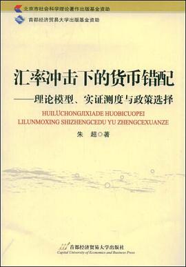 汇率冲击下的货币错配 pdf epub mobi 电子书 下载