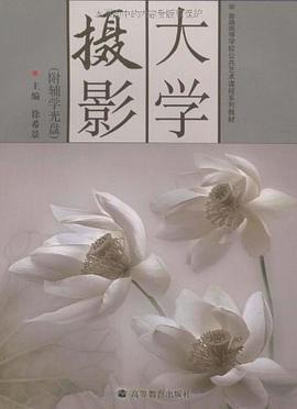 大学摄影 pdf epub mobi 电子书 下载