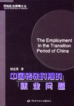中国转轨时期的就业问题