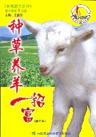 种草养兔一招富/致富霸王丛书