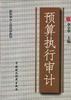 预算执行审计 pdf epub mobi 电子书 下载