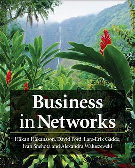 Business in Networks pdf epub mobi 电子书 下载