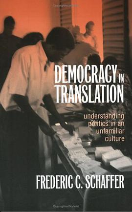 Democracy in Translation pdf epub mobi 下载