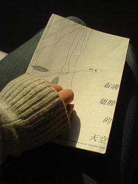 布满翅膀的天空 pdf epub mobi 电子书 下载