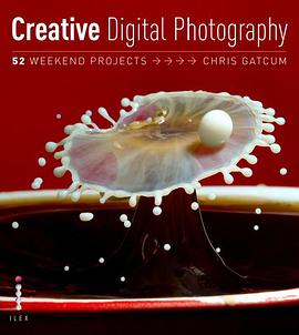 Creative Digital Photography pdf epub mobi 电子书 下载