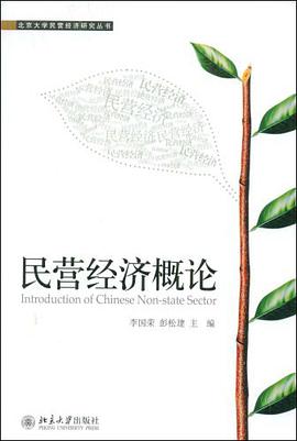 民营经济概论 pdf epub mobi 电子书 下载