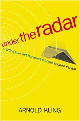Under the Radar pdf epub mobi 电子书 下载