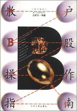 散户B股操作指南 pdf epub mobi 电子书 下载