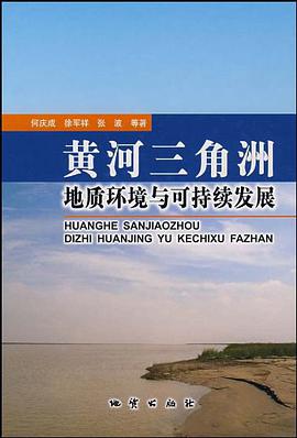 黄河三角洲地质环境与可持续发展 pdf epub mobi 电子书 下载