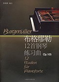 布格缪勒12首钢琴练习曲 pdf epub mobi 下载