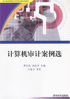计算机审计案例选 pdf epub mobi 电子书 下载
