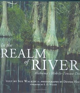 In the Realm of Rivers pdf epub mobi 电子书 下载