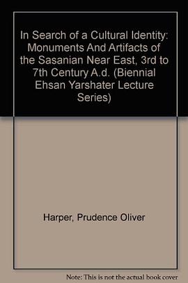 In Search of a Cultural Identity pdf epub mobi 下载