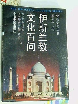 伊斯兰教文化百问 pdf epub mobi 电子书 下载