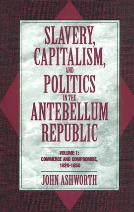 Slavery, Capitalism, and Politics in the Antebellum Republic pdf epub mobi 电子书 下载