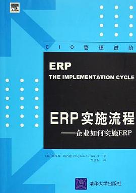 ERP实施流程 pdf epub mobi 电子书 下载